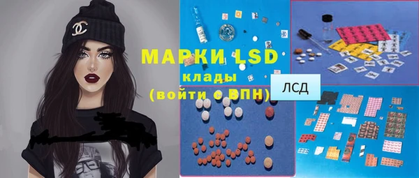 ПСИЛОЦИБИНОВЫЕ ГРИБЫ Белоозёрский
