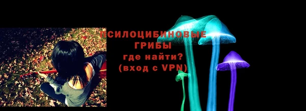 дурь Белокуриха